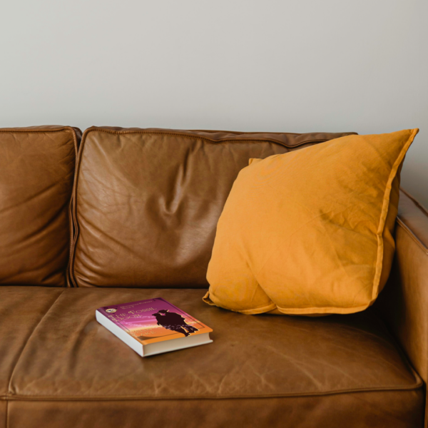 A copy of The Fossil Door with its burgundy and orange cover lies on a brown leather sofa with a matching orange pillow. 